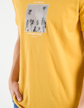 Playera Aéropostale cuello redondo para hombre