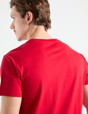 Playera Aéropostale cuello redondo para hombre