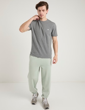 Playera Aéropostale cuello redondo para hombre