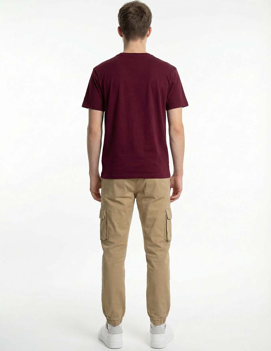 Playera Aéropostale cuello redondo para hombre 2