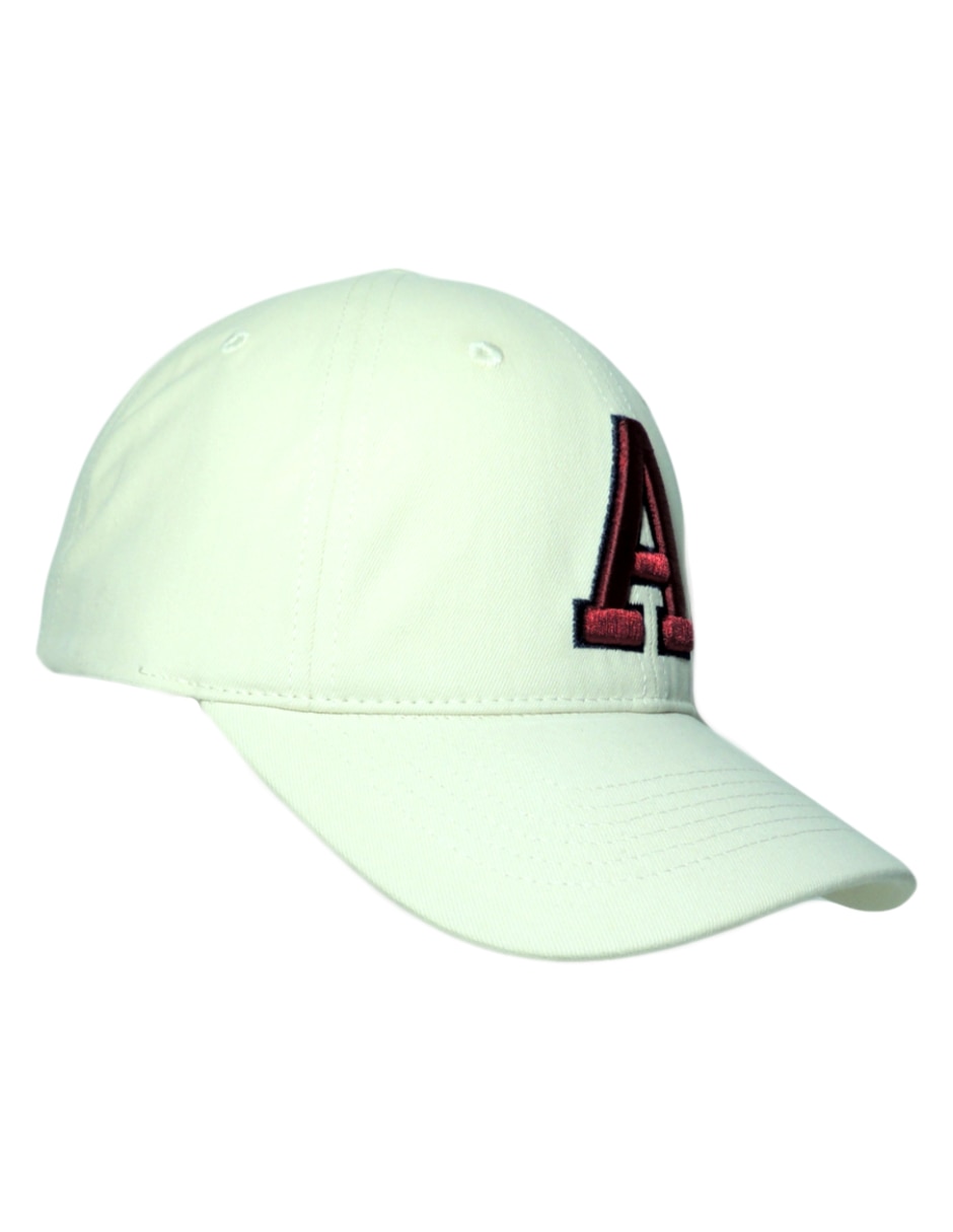 Gorra visera curva correa ajustable casual aeroplane  unisex 2