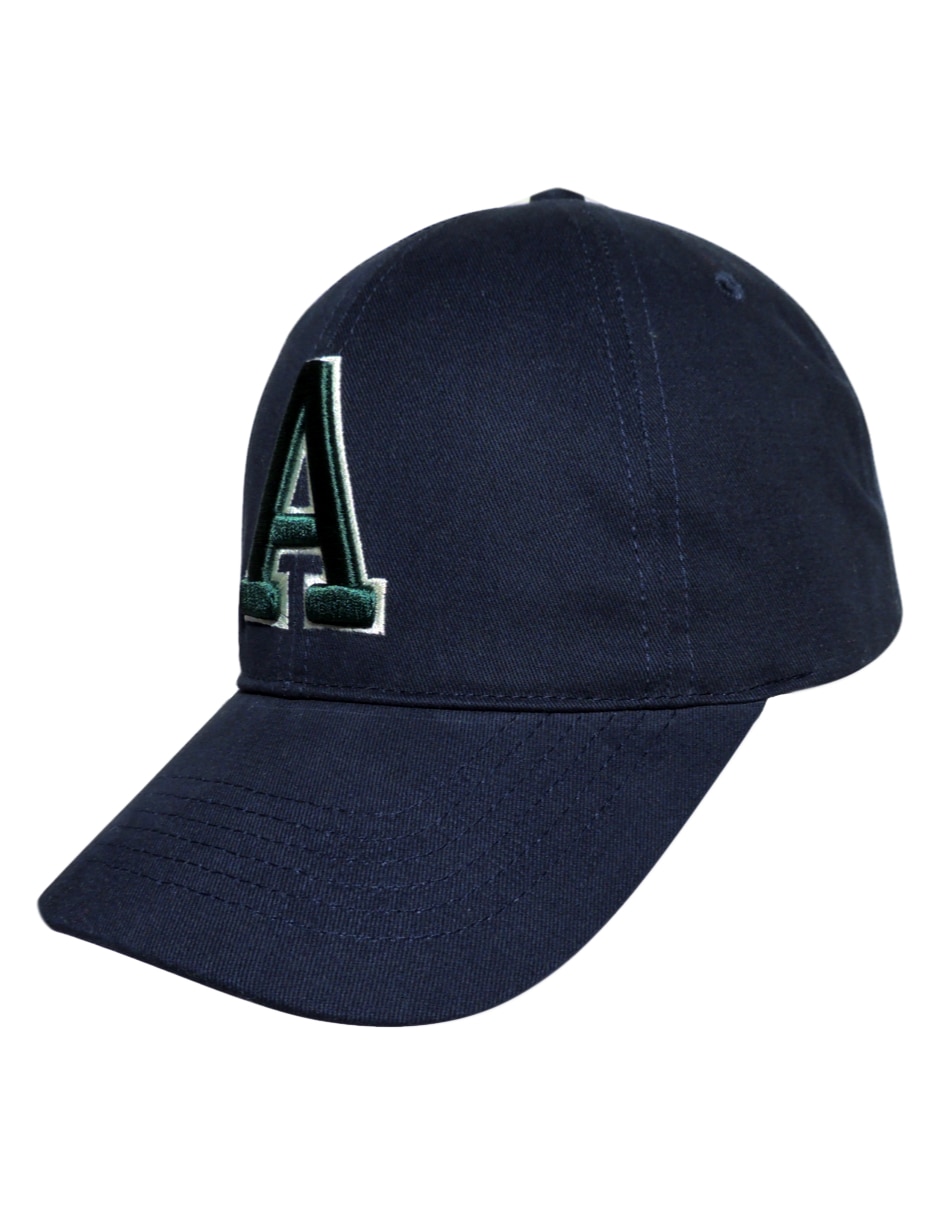 Gorra visera curva correa ajustable casual aeroplane  unisex 3
