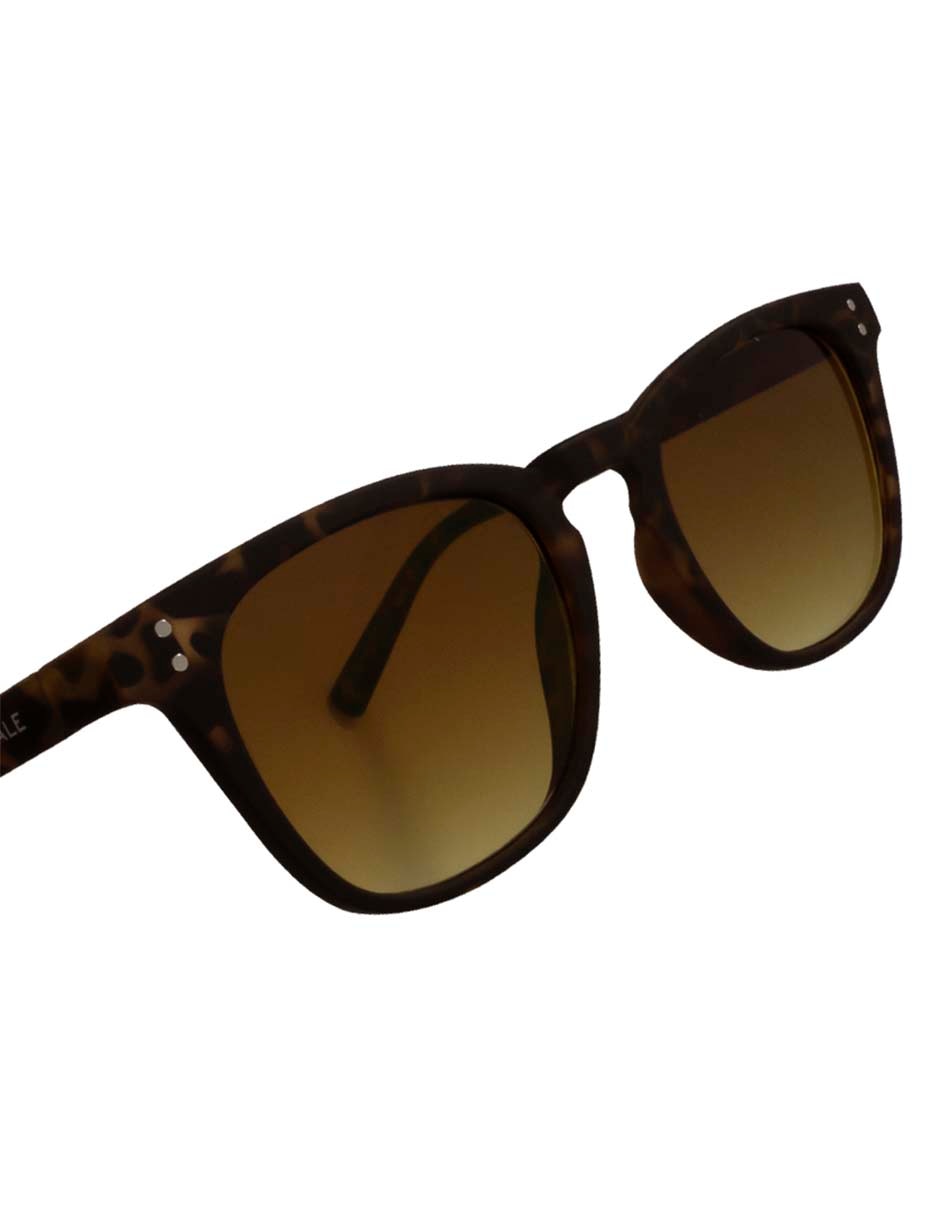 Lentes de sol para hombre 5